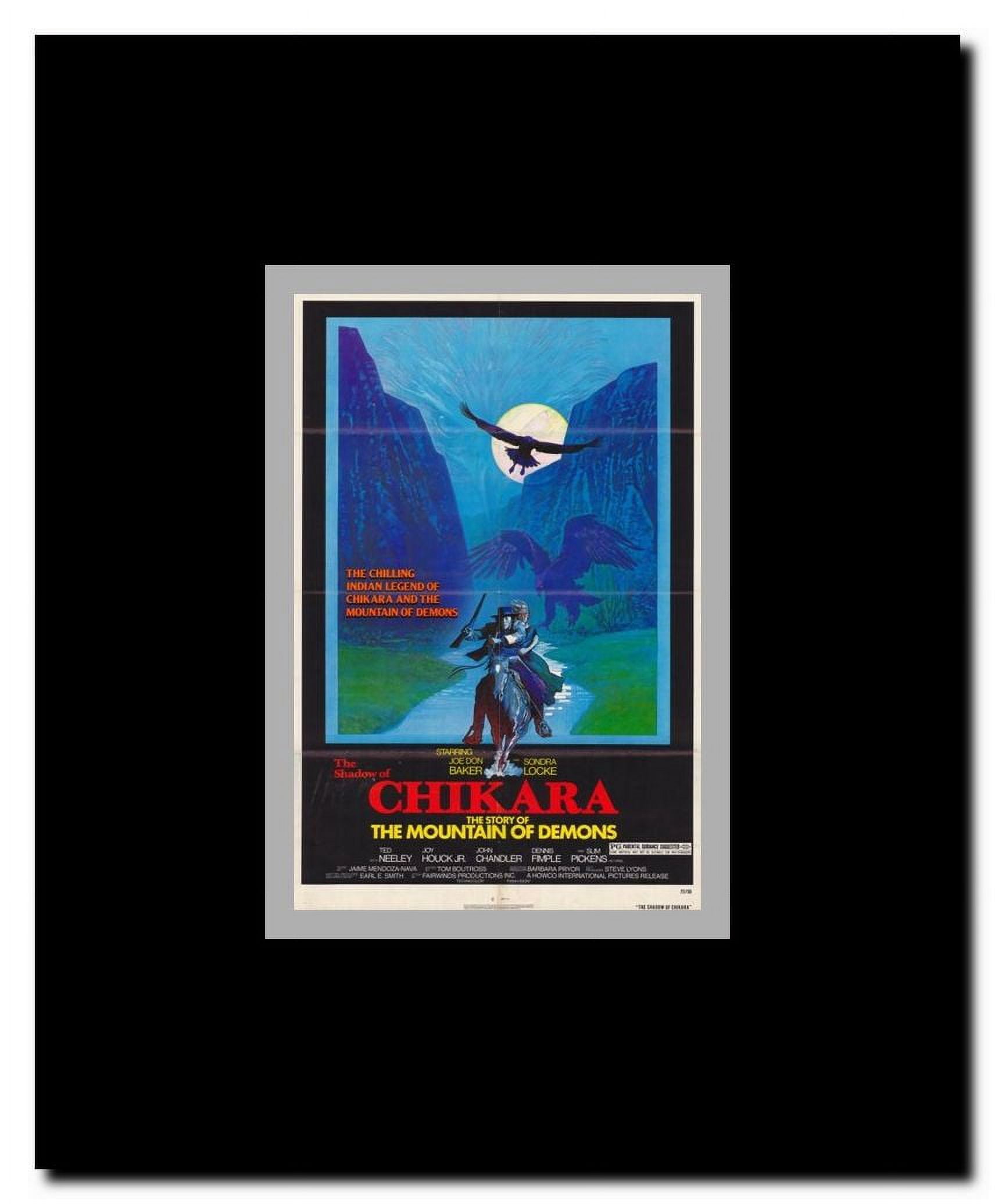 The Shadow of Chikara Framed Movie Poster
