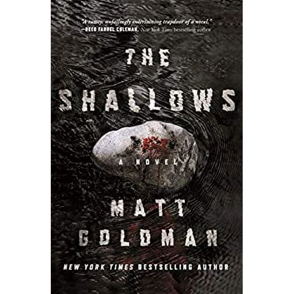 Pre-Owned The Shallows: A Nils Shapiro Novel (Hardcover) 1250191319 9781250191311
