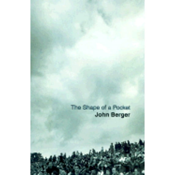 Pre-Owned The Shape of a Pocket (Hardcover) 0375421475 9780375421471