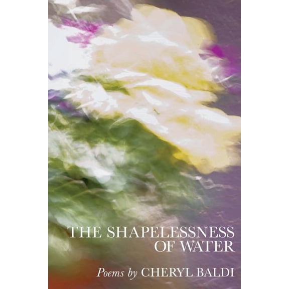 The Shapelessness of Water (Paperback)