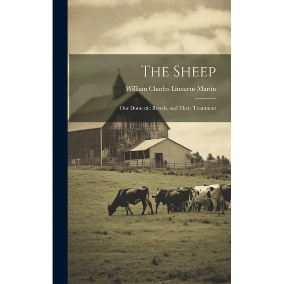 The Sheep : Our Domestic Breeds, and Their Treatment (Hardcover)