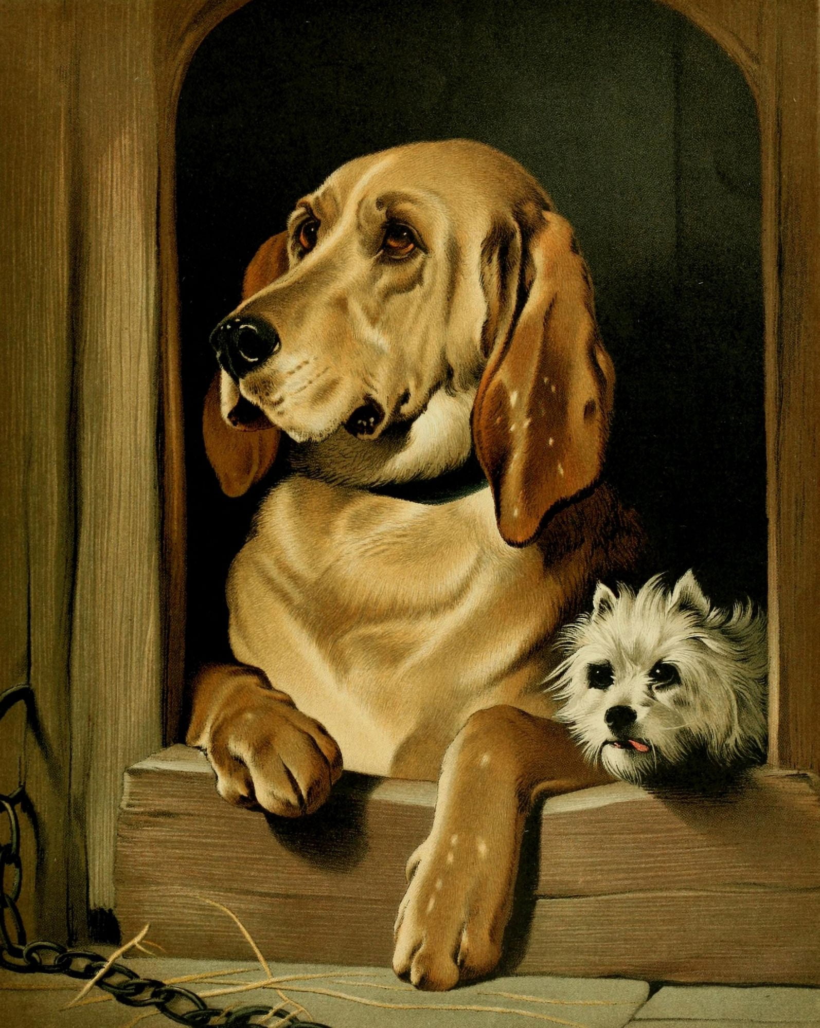 The Shepherds Dog 1870 Dignity & Impudence Canvas Art - Edwin Landseer (18 x 24)
