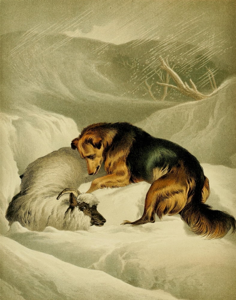 The Shepherds Dog 1870 Shepherds dog in snow Canvas Art - Edwin Landseer (18 x 24)