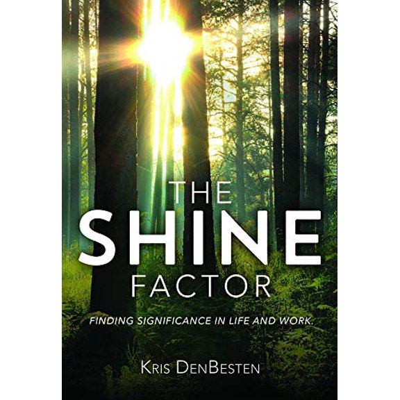 Pre-Owned The Shine Factor (Hardcover) 0990757862 9780990757863
