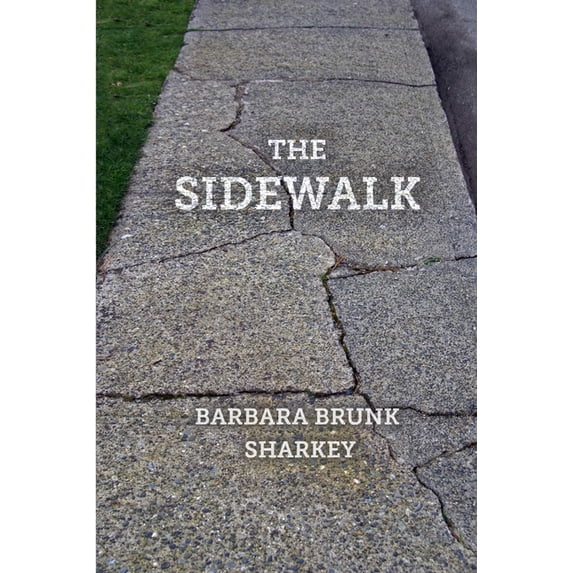 The Sidewalk (Paperback)