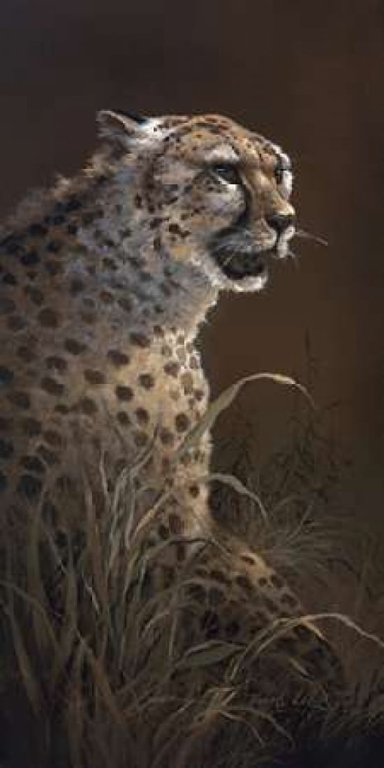 The Silent Hunter Canvas Art - James Lee (10 x 20)