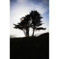 thumbnail image 1 of The Silhouette of A Tree Against A Bright Blue Sky & Cloud with The Pacific Coastline on Fort Point - San Francisco Ca Poster Print - 12 x 19 in., 1 of 1