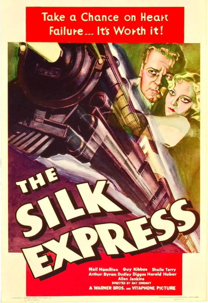 The Silk Express Canvas Art - (24 x 36)