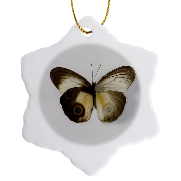 3drose, the Silky Owl Butterfly Wing Comparison Top and Bottom Wings, 3 inch Snowflake Porcelain Ornament