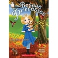thumbnail image 1 of Pre-Owned The Silver Locket (the Rescue Princesses #9) (Paperback) 0545661625 9780545661621, 1 of 1