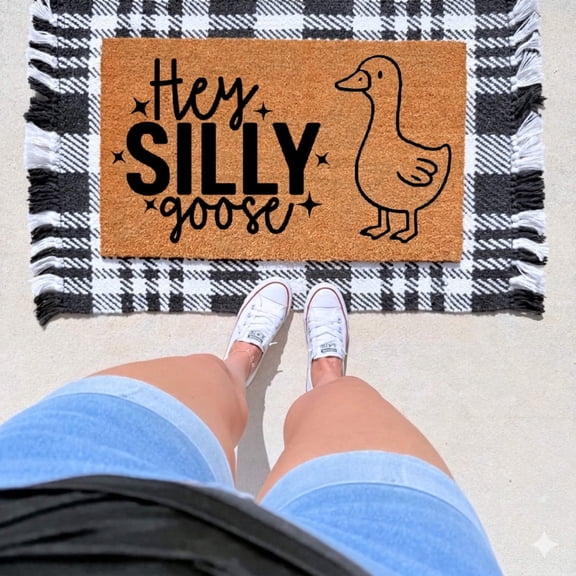 The Simply Rustic Barn - Hey Silly Goose Doormat
