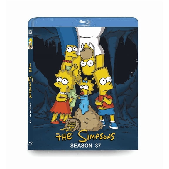The Simpsons Season 37 Episodes 1-15 DVD Box Set for Anime Fans