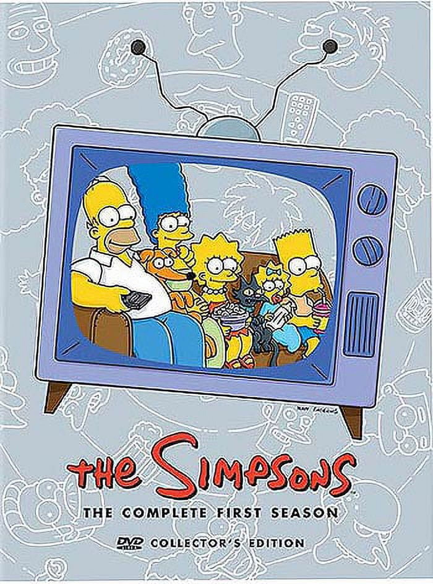 The Simpsons: The Complete First Season (DVD)