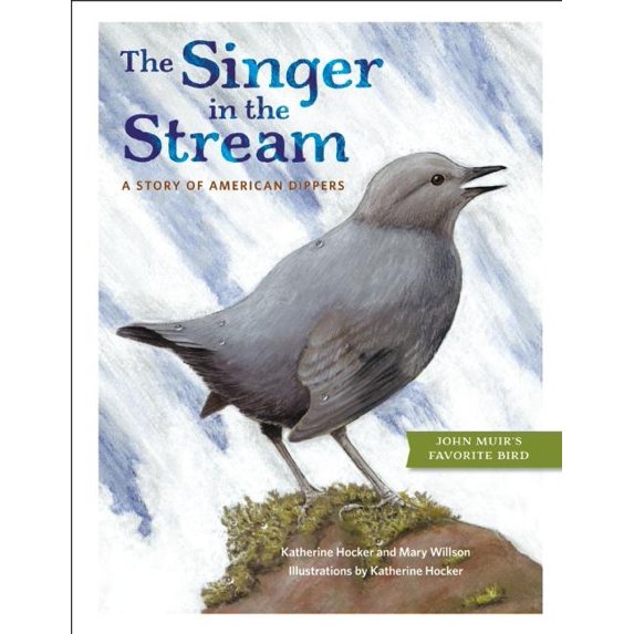 The Singer in the Stream: A Story of American Dippers, (Hardcover)