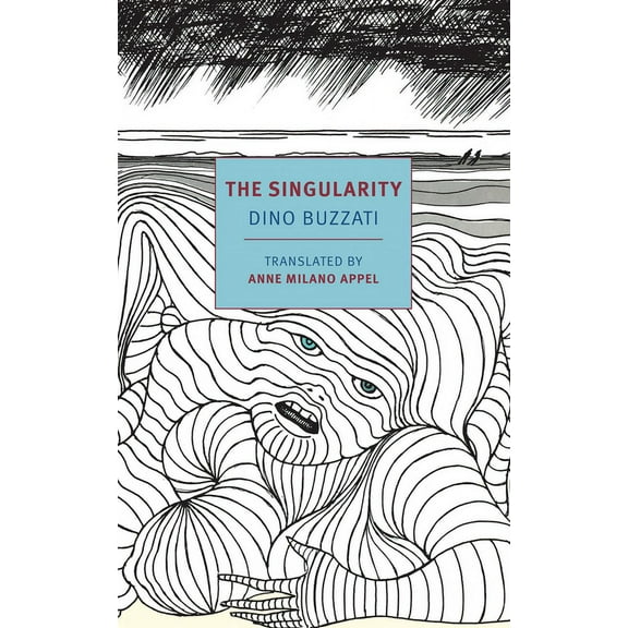 The Singularity, (Paperback)