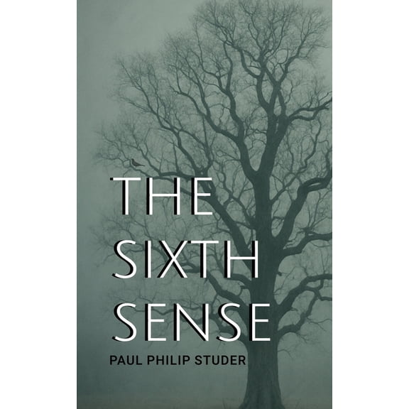 The Sixth Sense, (Paperback)