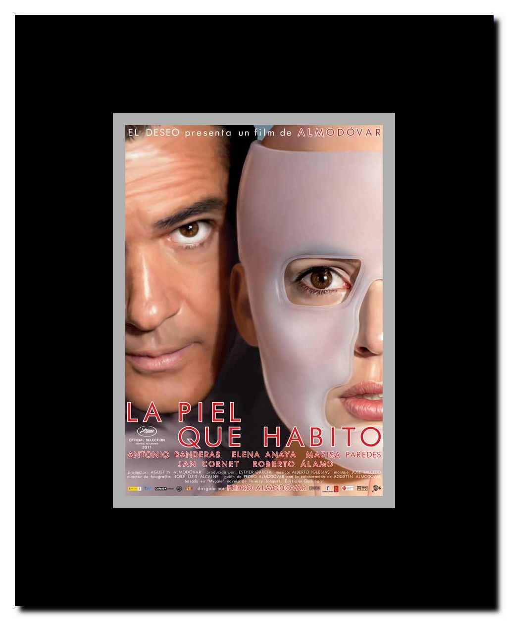 The Skin I Live In Framed Movie Poster