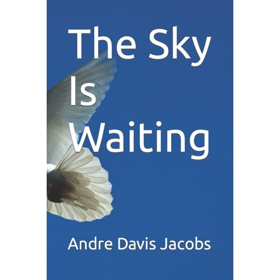 The Sky Is Waiting (Paperback)