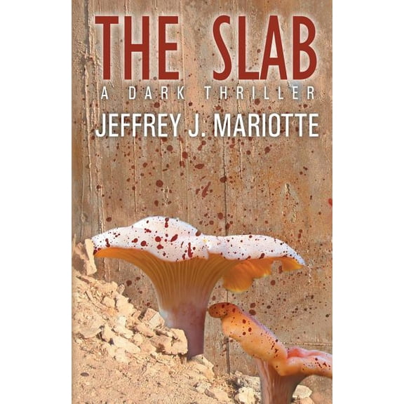 The Slab, (Paperback)