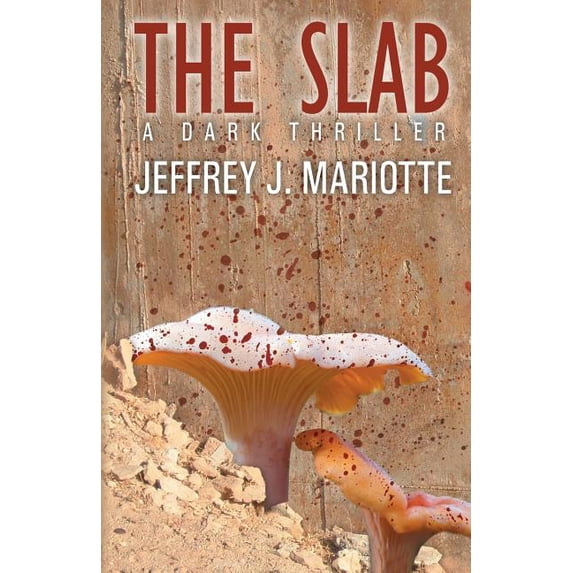 The Slab, (Paperback)