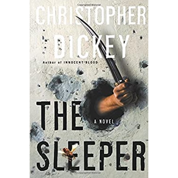 Pre-Owned The Sleeper (Paperback) 0743258789 9780743258784