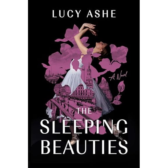 Pre-Owned The Sleeping Beauties (Paperback) 1454951257 9781454951254