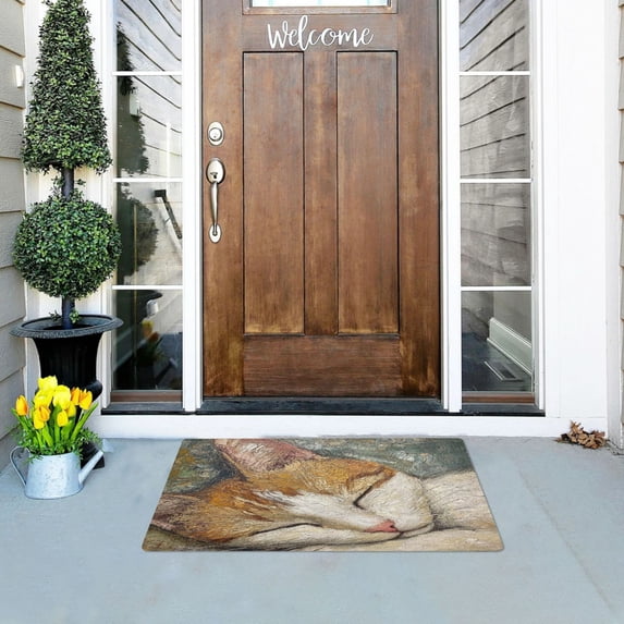 The Sleeping Orange Cat Highly Absorbent Polyester Doormat Anti-slip Anti-fouling Indoor Outdoor Entrance Welcome Mat 32×20in.