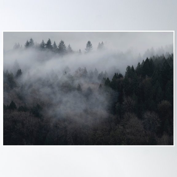 The Sleeping Wood Poster Wall Art, Modern Wall Decor, 12x18 UNFRAMED