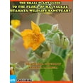 thumbnail image 1 of The Small Plant Guide to The Flora of Malvaceae Sitamata Wildlife Sanctuary, (Hardcover), 1 of 1