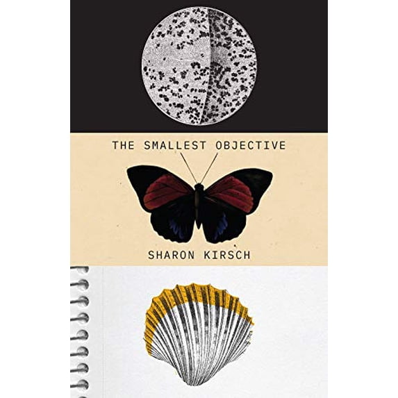 Pre-Owned The Smallest Objective Paperback