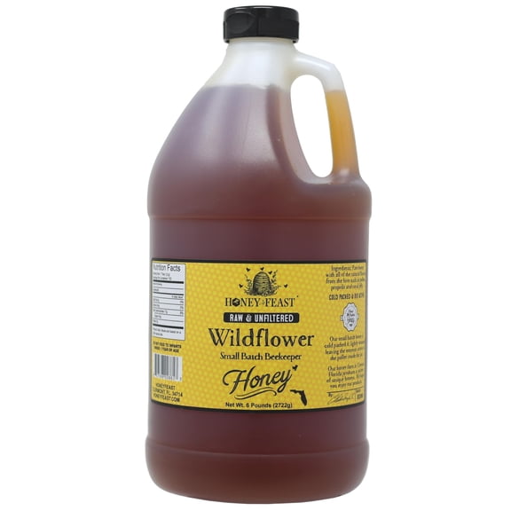HONEY FEAST 6 Pounds (1/2 Gallon) Bulk Wildflower Honey, All Natural, Unfiltered, Unheated Honey, Perfect for Sweetening & Baking