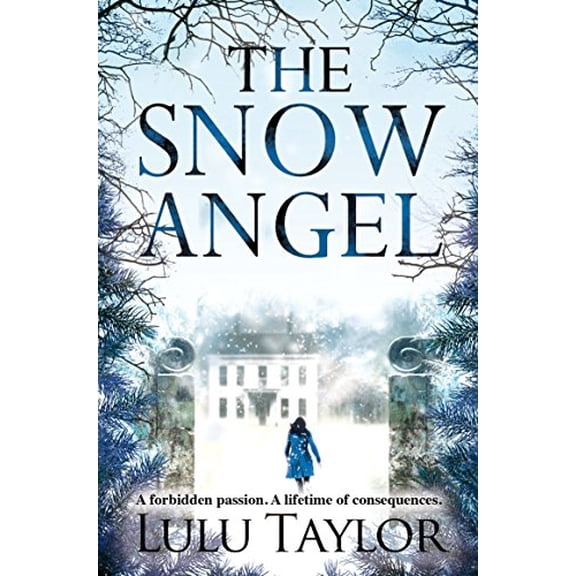 Pre-Owned The Snow Angel (Paperback) 1447230493 9781447230496
