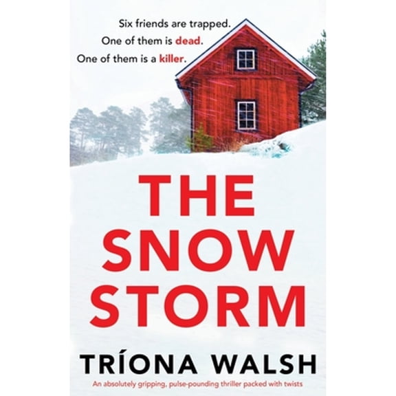 Pre-Owned The Snowstorm: An absolutely gripping, pulse-pounding thriller packed with twists (Paperback) 1803148500 9781803148502