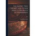 thumbnail image 1 of The Snowy Tree Cricket and Other Insects Injurious to Raspberries; B505, (Paperback), 1 of 1