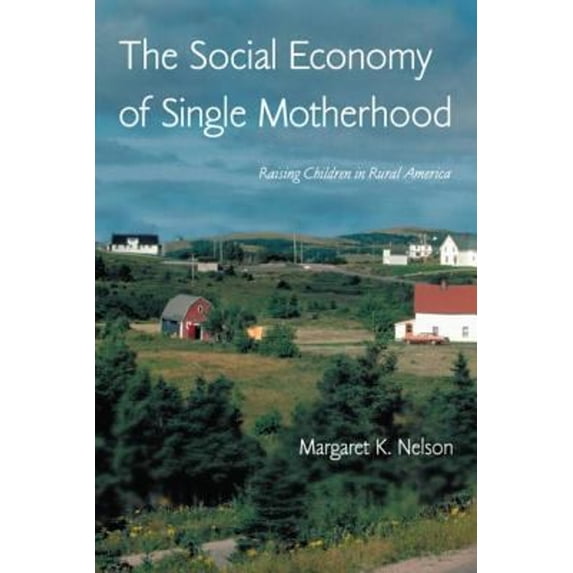 Pre-Owned The Social Economy of Single Motherhood: Raising Children in Rural America (Paperback) 0415947782 9780415947787