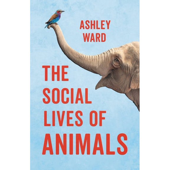 The Social Lives of Animals, (Hardcover)