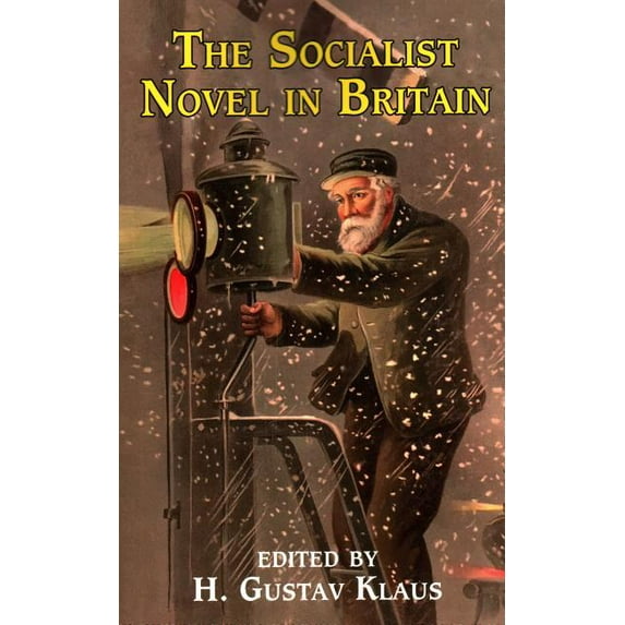 The Socialist Novel in Britain (Paperback)