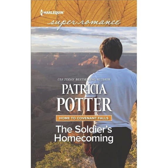 The Soldier's Homecoming