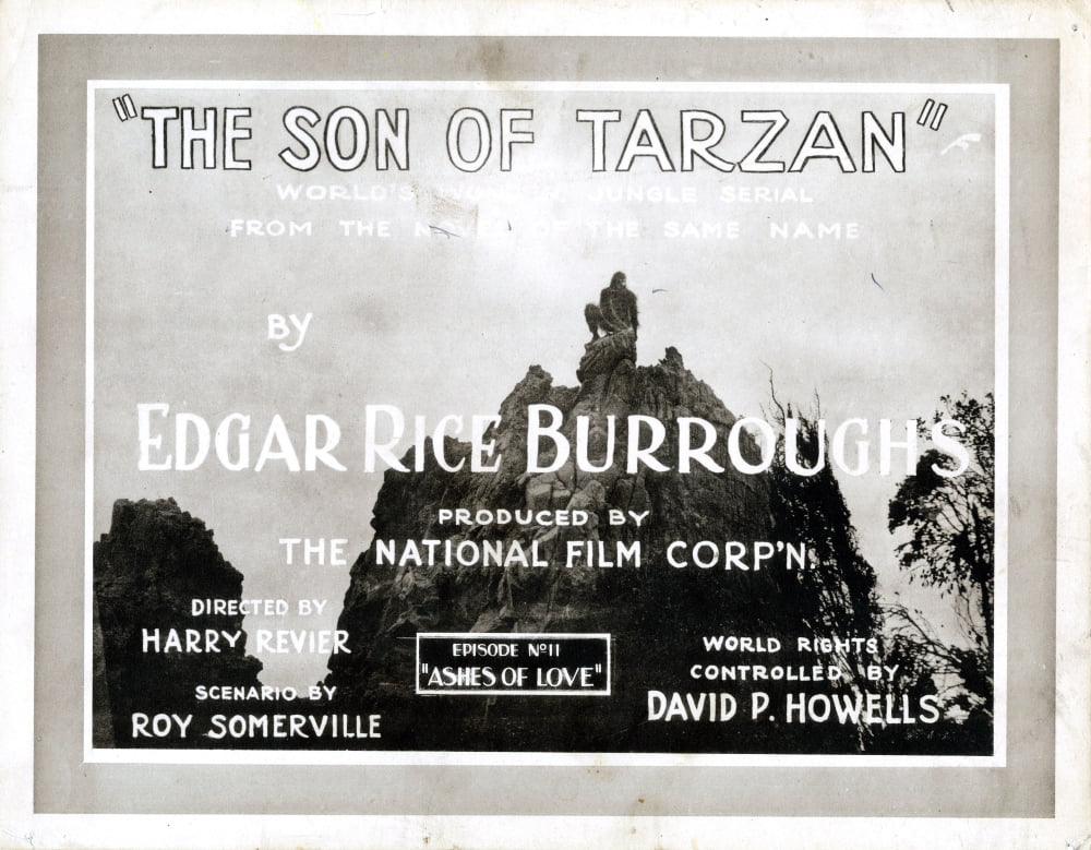 The Son Of Tarzan Canvas Art - (28 x 22)