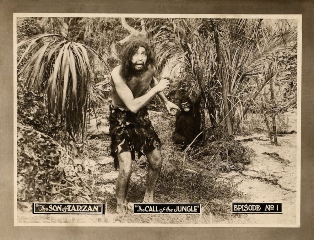 The Son Of Tarzan Canvas Art - (28 x 22)