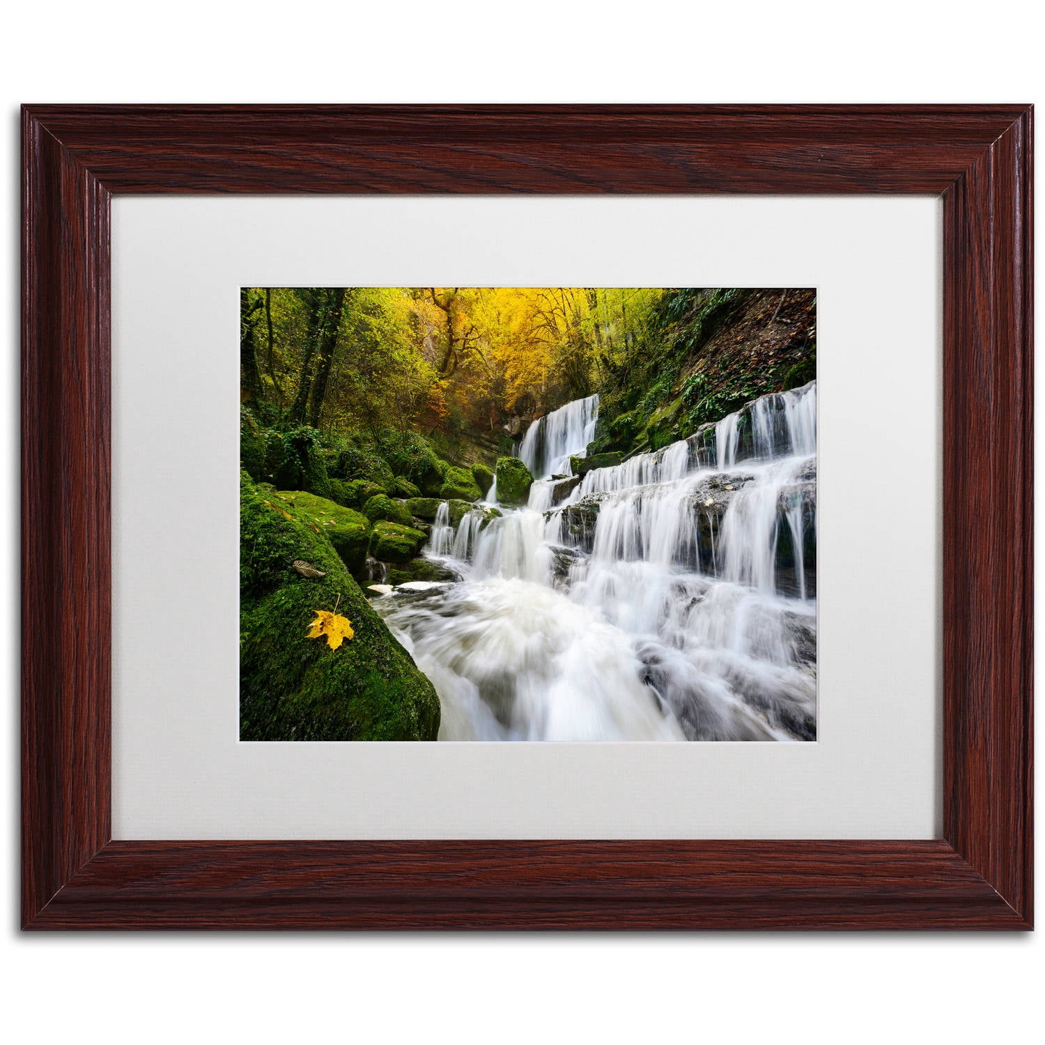 "The Song of the Autumn" Canvas Art by Mathieu Rivrin, White Matte, Wood Frame
