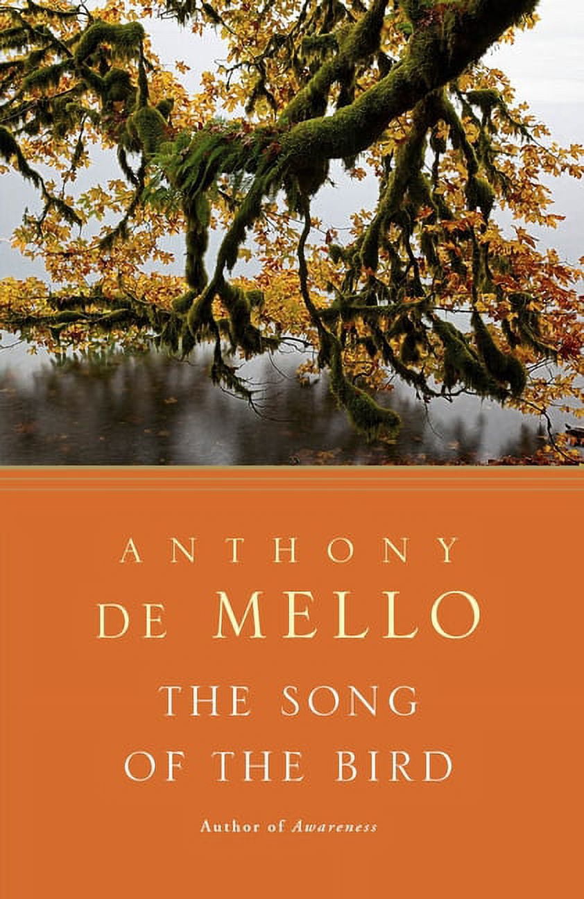 The Song of the Bird, (Paperback) - Walmart.com