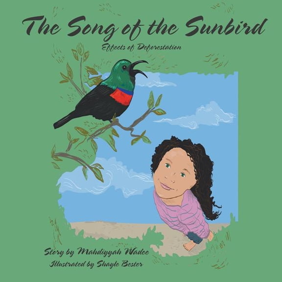 The Song of the Sunbird : Effects of Deforestation (Paperback)