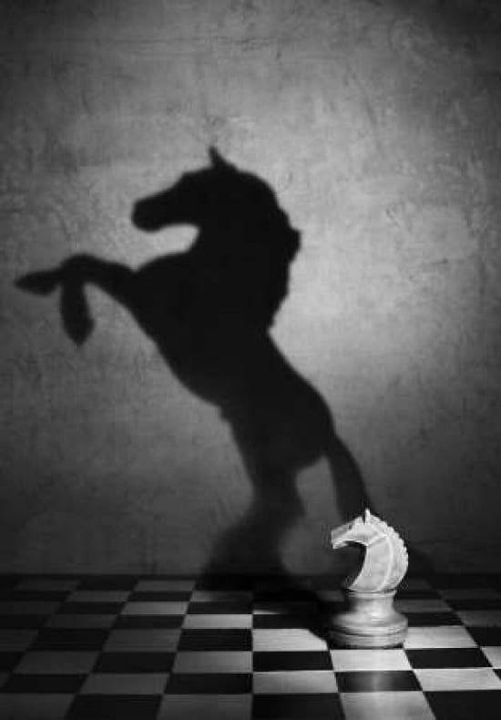 The Soul Of A Mustang Canvas Art - Victoria Ivanova (20 x 28)