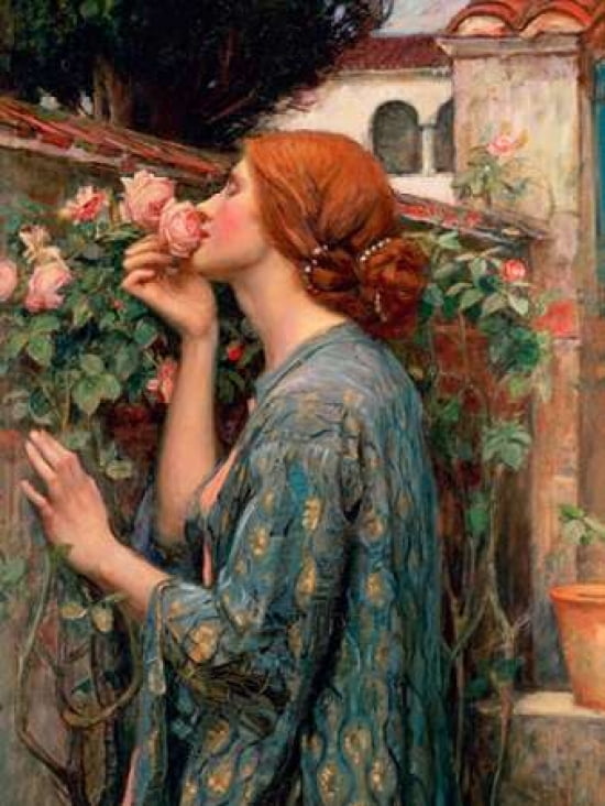 The Soul of the Rose Canvas Art - John William Waterhouse (22 x 28)