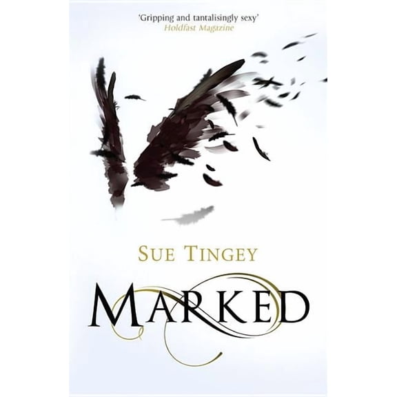 The Soulseer Chronicles: Marked : A dark romantasy of angels, demons and the Underlands (Paperback)
