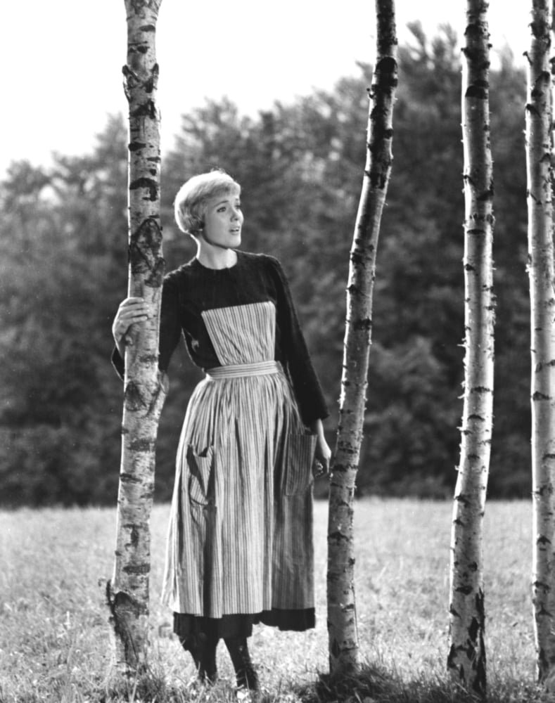 The Sound Of Music Canvas Art - (16 x 20)