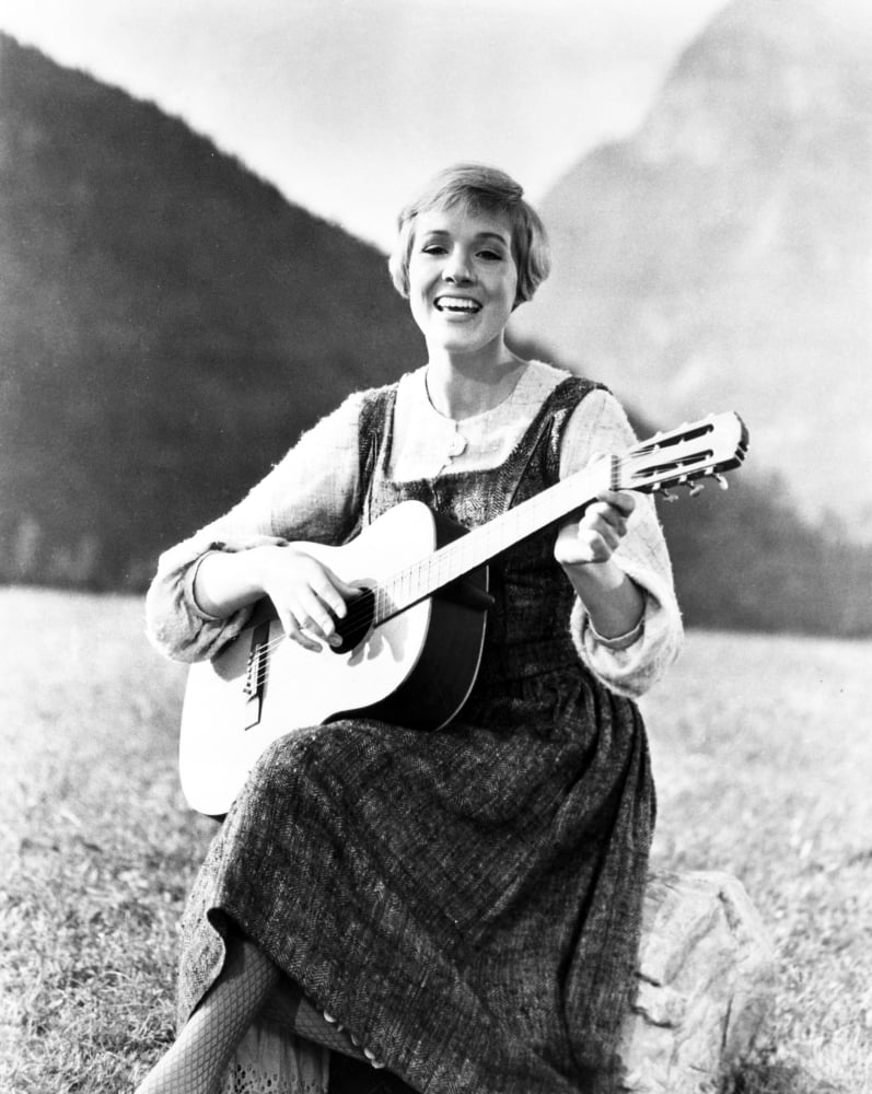 The Sound Of Music Canvas Art - (16 x 20)