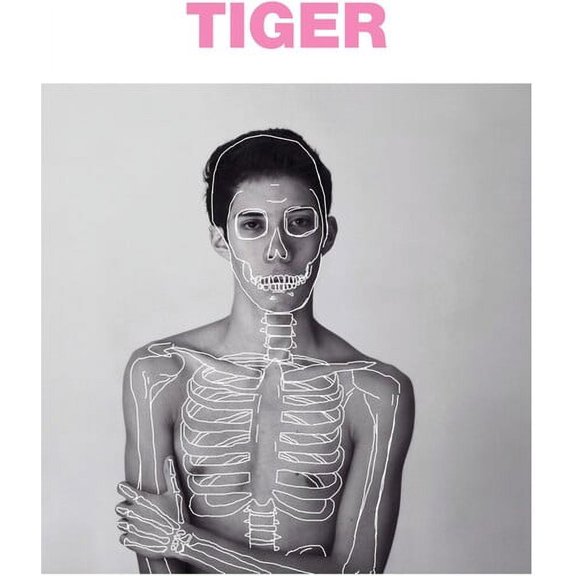 The Sound of Animals Fighting - Tiger And The Duke - Music & Performance - Vinyl