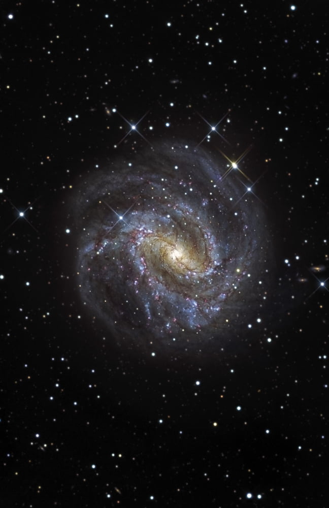 The Southern Pinwheel Galaxy Canvas Art - R Jay GaBanyStocktrek Images (11 x 17)